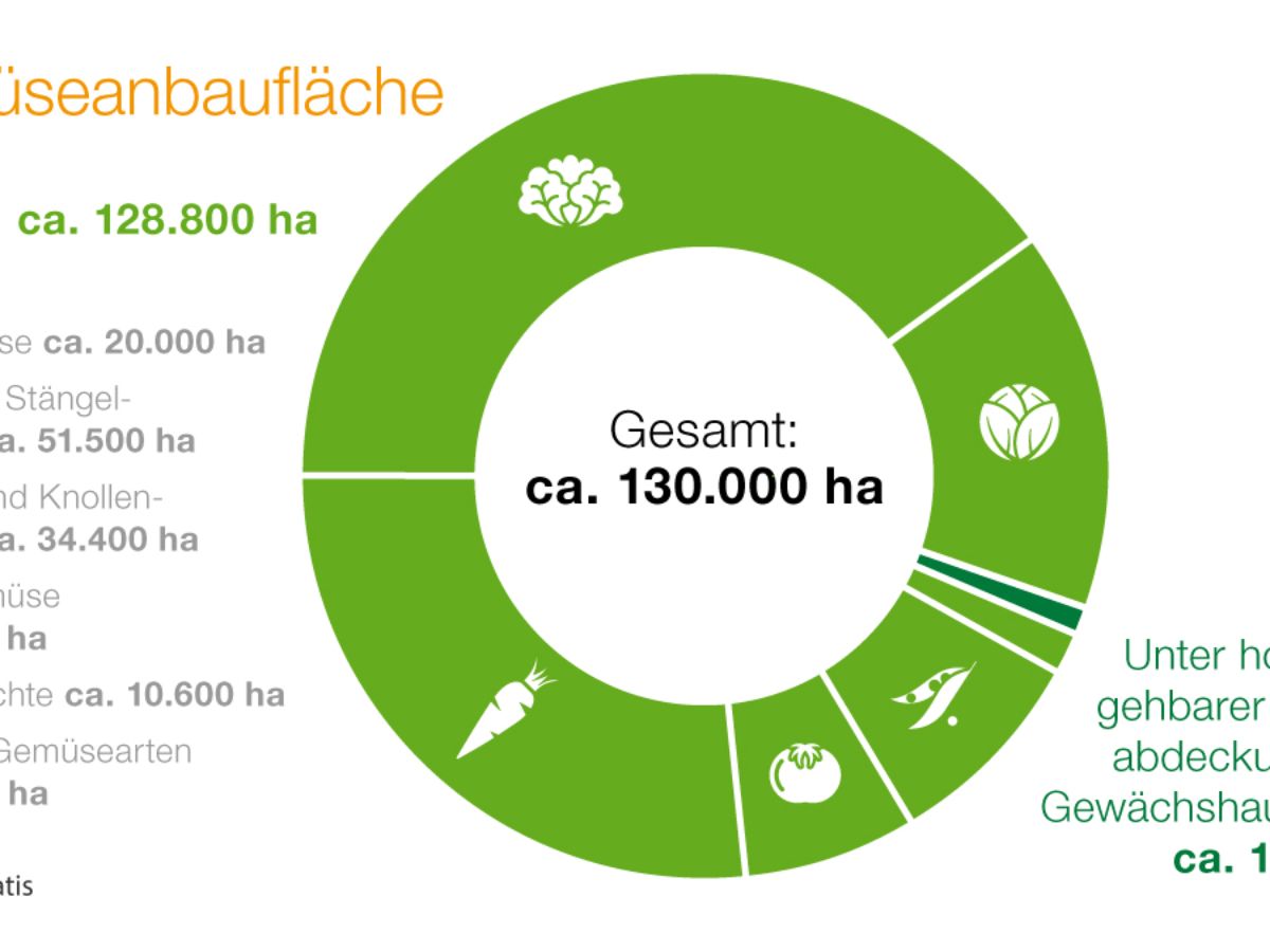 Diagramm Gemüseanbaufläche
