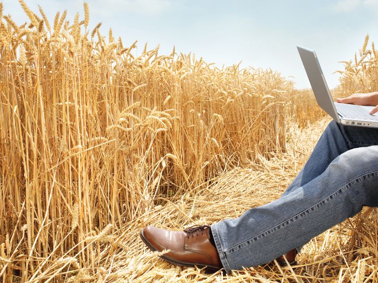 Abschlussarbeiten bei BASF Agricultural Solutions