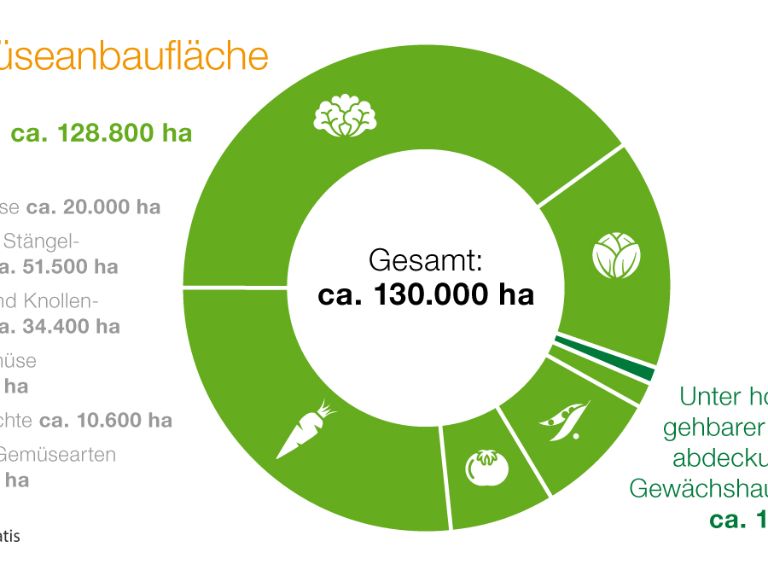 Diagramm Gemüseanbaufläche