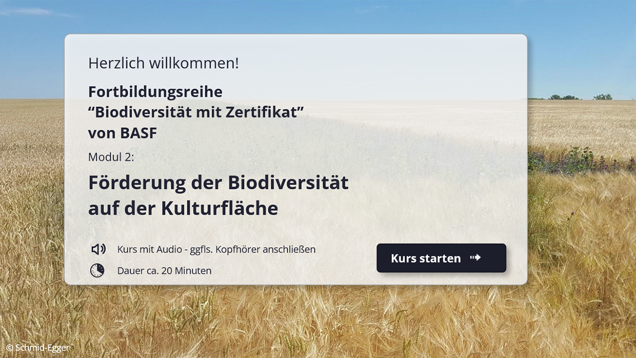 E-Learning- Modul 2: Anlage und Pflege mehrjähriger Blühflächen