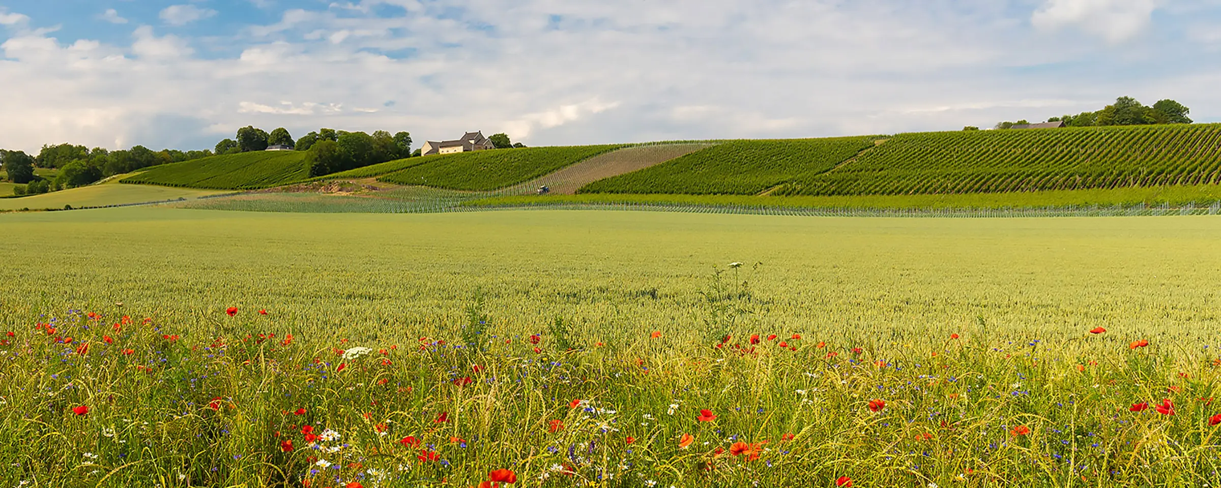 Serviceland BASF Agricultural Solutions